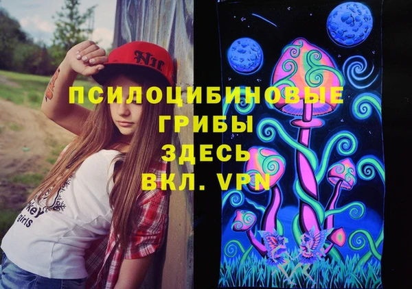 прущие крисы Алексин