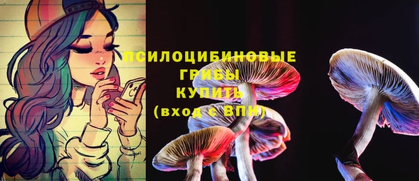 тгк Алексеевка
