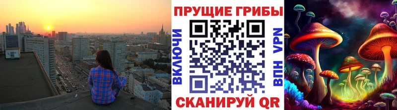 Псилоцибиновые грибы прущие грибы  Дятьково 