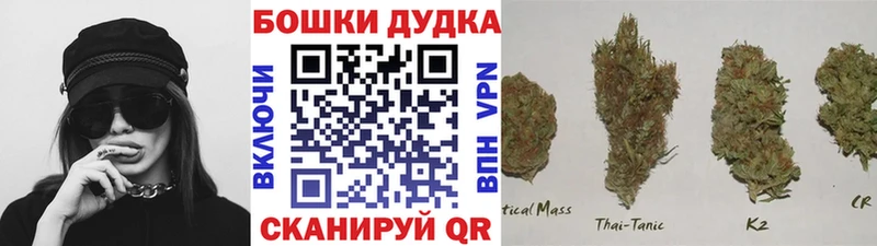 хочу   Дятьково  мориарти телеграм  МАРИХУАНА OG Kush 